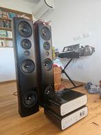 Psb synchrony one torens met peachtree audio versterkers, Audio, Tv en Foto, Ophalen, Gebruikt, Audio