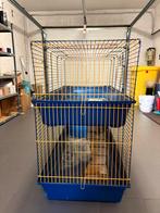 Dubbel konijnenhok, Ophalen, 90 cm of meer, Konijn, Hok