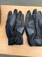 Ducati handschoenen, Motoren, Handschoenen