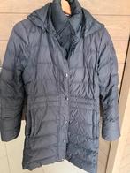 Jas tommy hilfiger, Ophalen of Verzenden, Zo goed als nieuw, Zwart