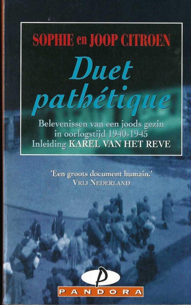 Duel Pathétique - Sophie en Joop Citroen, Boeken, Romans, Nieuw, Nederland, Ophalen of Verzenden