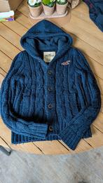 Pull en laine Hollister - taille M, Vêtements | Hommes, Pulls & Vestes, Comme neuf, Taille 48/50 (M), Bleu, Enlèvement