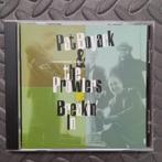 Pat Boyack & The Prowlers, Cd's en Dvd's, Cd's | Jazz en Blues, Blues, Ophalen of Verzenden