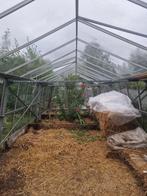 Alu serre 12 x 3.85 m, Tuin en Terras, Kweekkas, Ophalen of Verzenden, Zo goed als nieuw, Glas