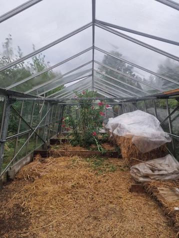 Alu serre 12 x 3.85 m beschikbaar voor biedingen