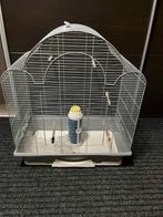 Vogelkooi, Dieren en Toebehoren, Vogels | Hokken en Kooien, Ophalen, Zo goed als nieuw, Vogelkooi