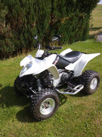 🔥🔥Quad Kymco MAXXER 300 US (805 kilometer)🔥🔥  beschikbaar voor biedingen