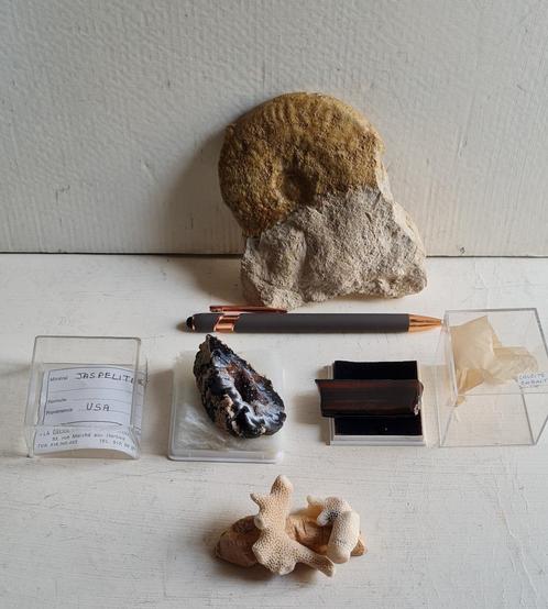 Grote fossiel, koraal, Jasper & Calcite cobalt, Verzamelen, Mineralen en Fossielen, Fossiel, Ophalen of Verzenden