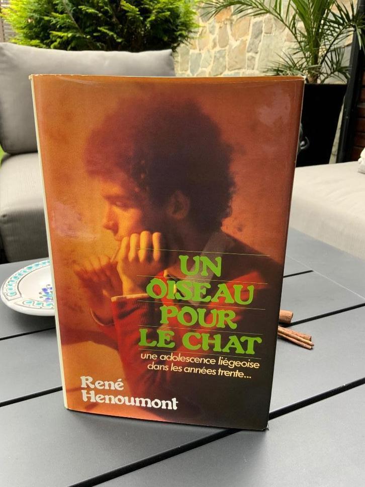 Un oiseau pour le chat de René Henoumont, Livres, Romans, Utilisé, Belgique, Enlèvement ou Envoi