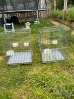 Cages perruches, Animaux & Accessoires, Oiseaux | Cages & Volières, Utilisé, Métal, Cage à oiseaux