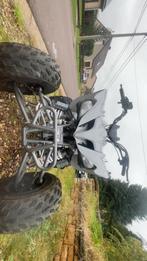 Quad 250 Predator, Motos, 1 cylindre, 250 cm³