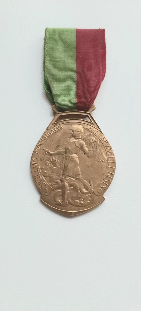 Medaille Elektriciteit*Gas* Waters*Gemeentelijke Diensten Br, Postzegels en Munten, Penningen en Medailles, Ophalen of Verzenden