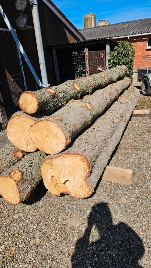 Boomstammen dennenhout 6 stuks van 4m lang, Tuin en Terras, Brandhout, Ophalen