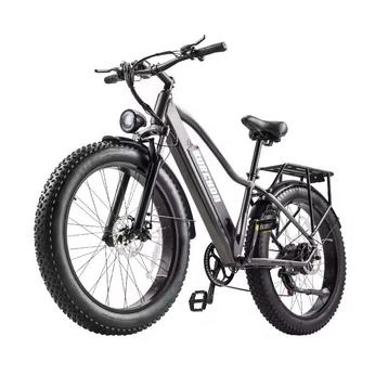 BURCHDA PowerRide 250W Fatbike beschikbaar voor biedingen