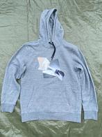 Trui voor heren S, Kleding | Heren, Truien en Vesten, Ophalen of Verzenden, Zo goed als nieuw, Maat 46 (S) of kleiner, Grijs