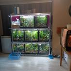 Met 8 paludariums met afloop plus 1 terra extra zonder, Enlèvement, Utilisé, Terrarium ou Paludarium