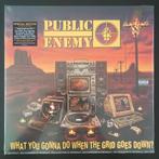LP Public Enemy - What You Gonna Do When The Grid Goes Down, Ophalen of Verzenden, 2000 tot heden, Nieuw in verpakking, 12 inch