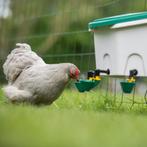 Aviaqua drinker kippen 8 L, Dieren en Toebehoren, Pluimvee | Toebehoren, Nieuw, Ophalen of Verzenden, Drinken en Voederen