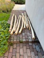 10 weipalen acacia NIEUW 2 meter hoog diameter 8-10 cm, Ophalen, Palen, Nieuw, Hardhout