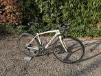 Specialized Amira 51, 28 inch, Gebruikt, 15 tot 20 versnellingen, 50 tot 53 cm