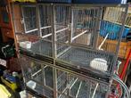 A vendre, Ophalen, Zo goed als nieuw, Aluminium, Broedkooi of Kweekkooi