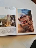 Artis 1986 Livre " Le chien, le meilleur ami de l'homme", Comme neuf, Enlèvement ou Envoi