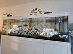 Aquarium, Ophalen, Zo goed als nieuw
