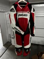 Combinaison dainese ducati, Motoren, Kleding | Motorkleding, Ophalen of Verzenden, Combipak