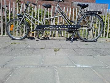 Tandem ouder-kind beschikbaar voor biedingen