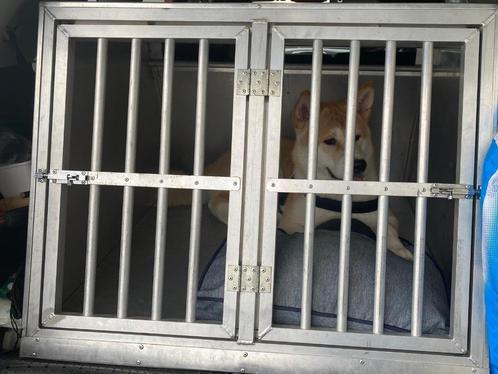 hondenbench voor in de auto van Metaal, Dieren en Toebehoren, Hondenhokken, Gebruikt, Hondenhok, 65 tot 100 cm, 110 cm of meer