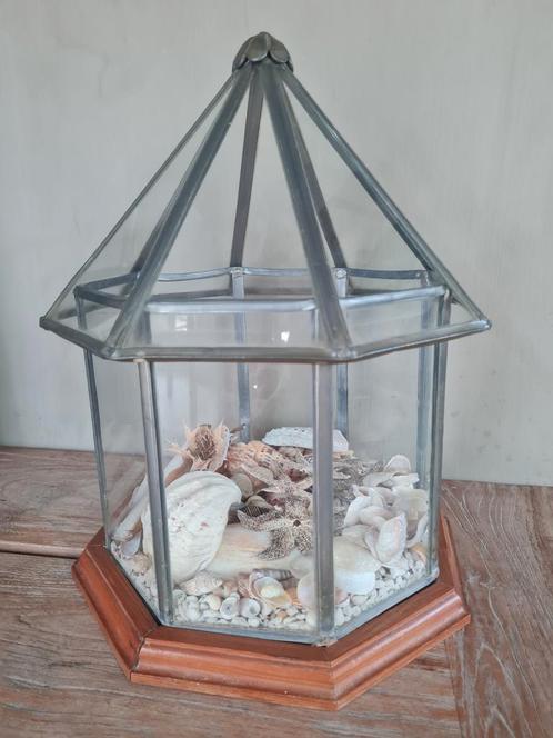 Vintage serre met schelpenverzameling, Antiek en Kunst, Curiosa en Brocante, Ophalen