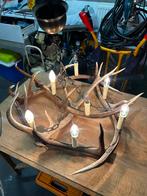 Gewei luster hertengeweien, Ophalen