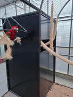Voliere vogelkooien op maat, Dieren en Toebehoren, Ophalen of Verzenden, Nieuw, Aluminium, Volière