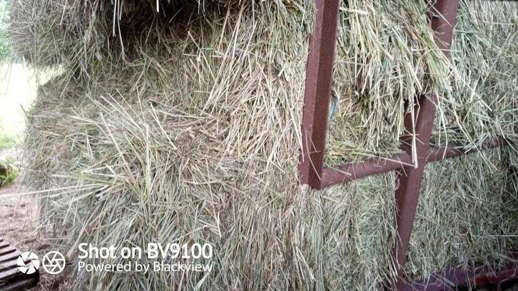 Paille botte de 14 ou à la pièce., Dieren en Toebehoren, Dierenvoeding, Ophalen