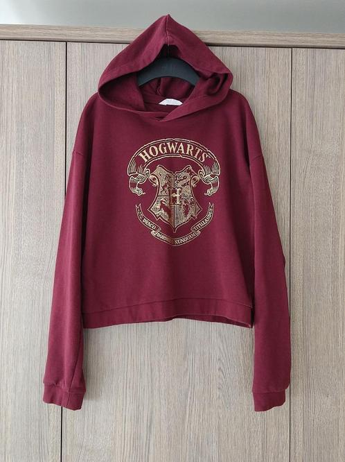 Harry Potter Trui met gouden logo en kap, maat 170, H&M, Enfants & Bébés, Vêtements enfant | Taille 170, Comme neuf, Fille, Pull ou Veste