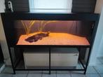 Aquarium 160x50x60 binnenfilter, Dieren en Toebehoren, Ophalen, Zo goed als nieuw