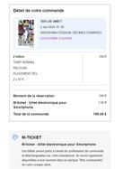 Vends 2 x tickets Pelouse Taylor Swift Lyon 02 Juin 2024, Tickets & Billets, Concerts | Pop, Deux personnes, Juin
