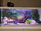 Aquarium 120l Zolux, Animaux & Accessoires, Enlèvement, Utilisé