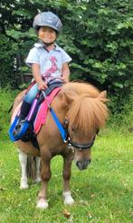 Ponywandelingen/ gewenning