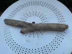 Bois flotté de rivière Longueur 77cm diamètre 7cm N22, Antiquités & Art, Art | Sculptures & Bois, Envoi