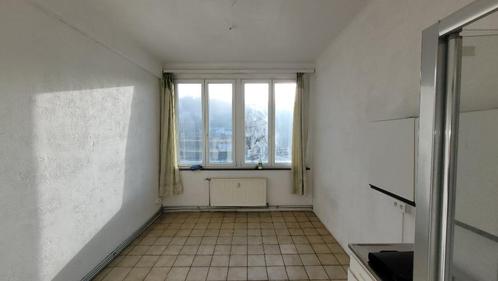 Studio 1 personne à louer, Immo, Appartementen en Studio's te huur, Provincie Luxemburg, Minder dan 20 m²