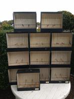 Golstertentoostellingskooien en koepelkooien, Dieren en Toebehoren, Ophalen