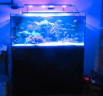 Zeeaquarium, Ophalen, Zo goed als nieuw, Gevuld zeewateraquarium