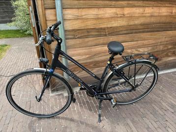 Giant damesfiets – licht, comfortabel & betrouwbaar beschikbaar voor biedingen