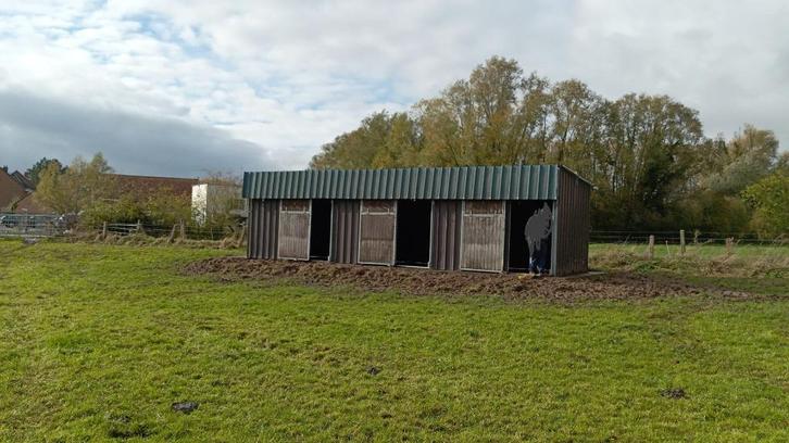 Paardenstallen te huur, Dieren en Toebehoren, Stalling en Weidegang, Opfok, Weidegang, 2 of 3 paarden of pony's