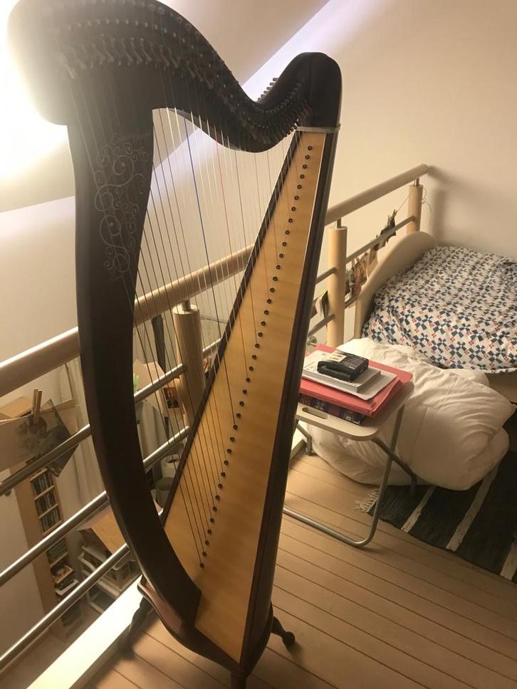 Harp, Musique & Instruments, Instruments à corde | Harpes, Comme neuf, Enlèvement