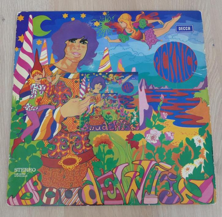 LP  Boudewijn De Groot ‎– Picknick, Cd's en Dvd's, Vinyl | Nederlandstalig, Gebruikt, Rock, 12 inch, Ophalen of Verzenden