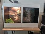 2x terrarium 45x45x60, Ophalen, Zo goed als nieuw