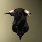Volledige montage van een stier - taxidermie, Collections, Collections Animaux, Enlèvement, Neuf, Autres, Bois ou Tête