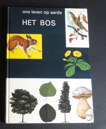 Het Bos beschikbaar voor biedingen